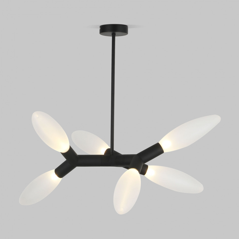 Потолочный светильник 30180/6 черный фото 1 — Multielectrika