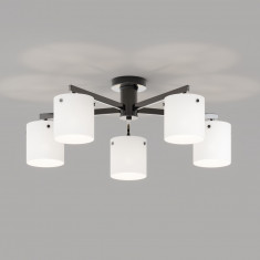 Потолочный светильник с матовыми стеклянными плафонами 501001/5 &mdash; Multielectrika