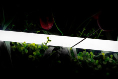 Лента светодиодная неоновая 360 ° SWG Pro 3000K &mdash; Multielectrika