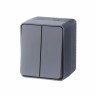Выключатель 2-клавишный 10 АХ Schneider Electric AtlasDesign Profi54, антрацит ATN544051