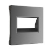 Накладка для двойной розетки Еthernet RJ-45 (графит матовый) W1191164 фото 1 &mdash; Multielectrika