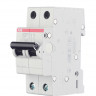 Автомат двухполюсный ABB SH202L C10 2CDS242001R0104