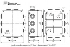 Коробка распределительная Промрукав 213х163х80 для открытой установки &mdash; Multielectrika