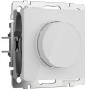 Диммер (белый акрил) W1142041 фото 1 &mdash; Multielectrika