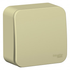 Выключатель одноклавишный Systeme Electric Blanca с самовозвратом, бежевый 10А &mdash; Multielectrika