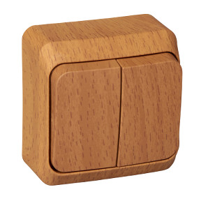 Выключатель двухклавишный 10АХ бук Schneider Electric Этюд BA10-002T фото 1 — Multielectrika