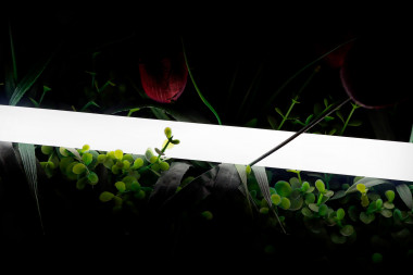 Лента светодиодная неоновая 360 ° SWG Pro 4000K — Multielectrika