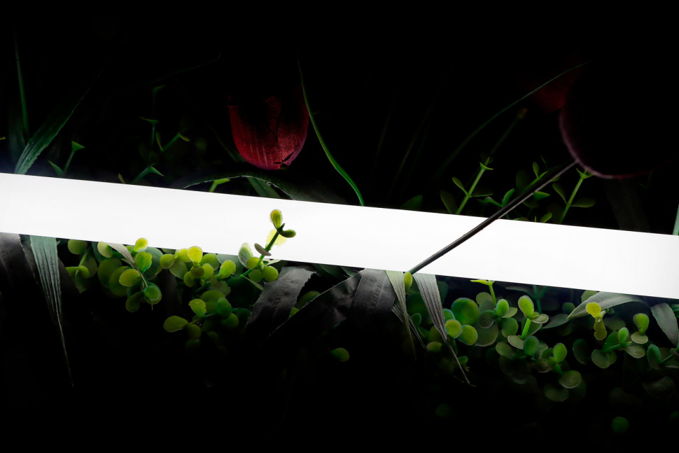 Лента светодиодная неоновая 360 ° SWG Pro 4000K фото 1 — Multielectrika