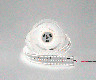 Лента светодиодная 3x DSG 2835 NW 420L-V24-IP33, 4000 K, 2100 LED, 40W/m, 2500*40*2 mm, LUX