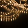 Светодиодная лента 24 В 8 Вт/м 120 Led/м 2116 IP20, тёплый белый 3300K, 5 м 2116 24V 120Led 8W IP20 фото 22 — Multielectrika
