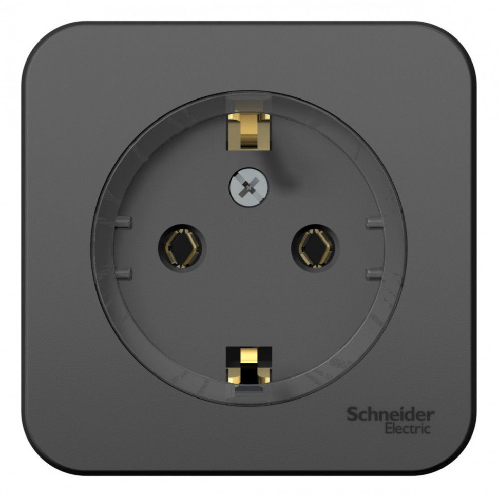 Розетка силовая Systeme Electric Blanca антрацит 16 А (тонкая) фото 1 — Multielectrika