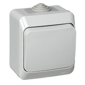 Выключатель одноклавишный 10АХ IP44 серый Schneider Electric Этюд BA10-041C — Multielectrika