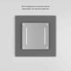 Сенсорный выключатель двухклавишный с подсветкой серебряный W4522006 &mdash; Multielectrika