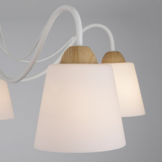 Потолочная люстра со стеклянными плафонами 70062/5 белый &mdash; Multielectrika