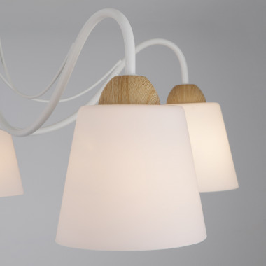 Потолочная люстра со стеклянными плафонами 70062/5 белый — Multielectrika