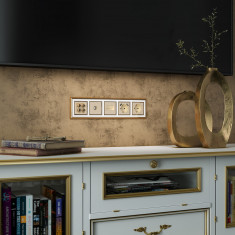 Накладка для двойной розетки Еthernet RJ-45 (шампань) WL11-RJ45+RJ45-CP &mdash; Multielectrika