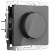 Диммер (графит акрил) W1142044 фото 1 &mdash; Multielectrika