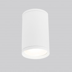 Уличный потолочный светильник Light IP65 35128/H белый &mdash; Multielectrika