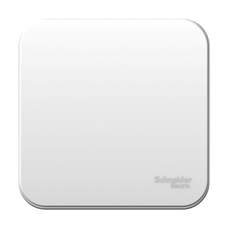 Переключатель одноклавишный Systeme Electric Blanca с изолир. пластиной, белый 10А фото 1 — Multielectrika