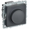 Светорегулятор поворотно-нажимной 600Вт IEK Brite СС10-1-0-БрГ графит