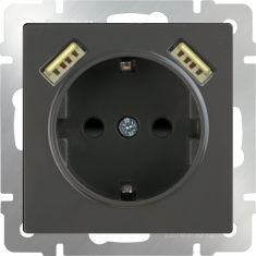 Розетка с заземлением, шторками и USBх2 (серо-коричневый WL07-SKGS-USBx2-IP20 &mdash; Multielectrika