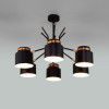 Потолочная люстра в стиле лофт 70133/6 черный фото 3 &mdash; Multielectrika