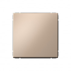 Выключатель одноклавишный Systeme Electric ArtGallery 10АХ, песочный &mdash; Multielectrika